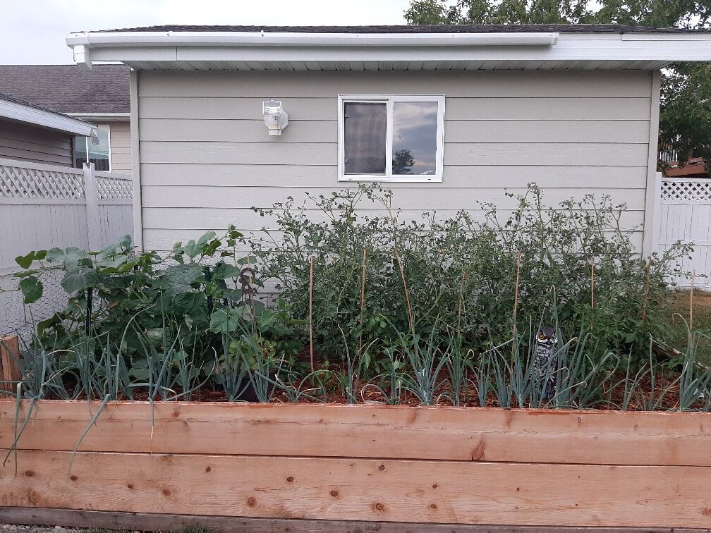 Take 5: Garden Two Days Ago